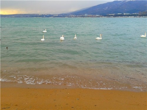 Какой самый подходящий город в России для дауншифтинга?