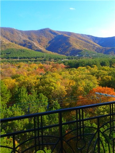 Какой самый подходящий город в России для дауншифтинга?