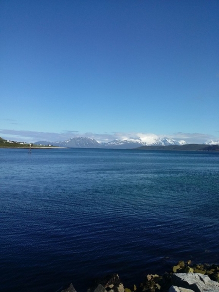 Москва - Torsvåg