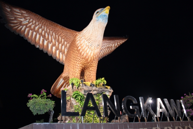 Движение к солнцу.