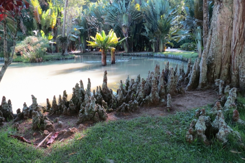 Наш бразильский дневник, февраль 2015