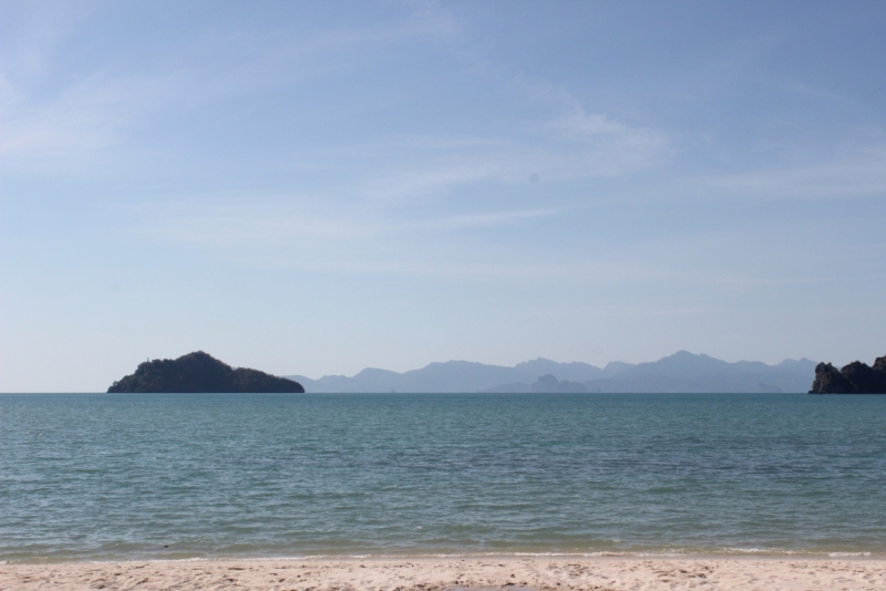 Движение к солнцу.