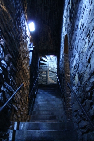 Бельгийские бродилки, пыхтелки и вопилки (с заездом в Маастрихт)