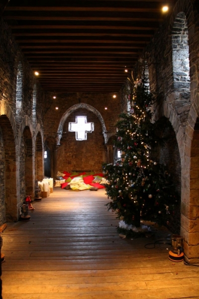 Бельгийские бродилки, пыхтелки и вопилки (с заездом в Маастрихт)