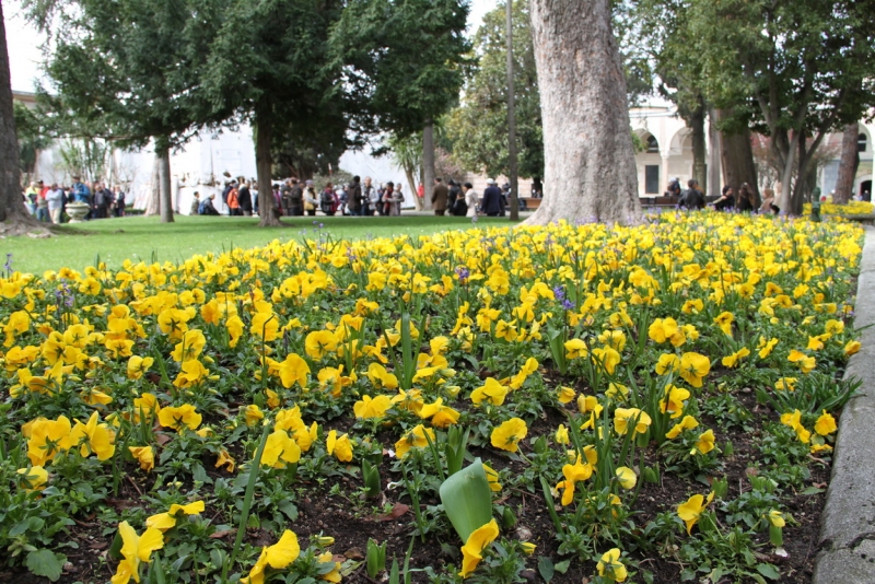 Первое свидание со Стамбулом (март 2015)