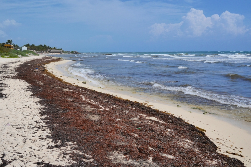 Пляжи Юкатана