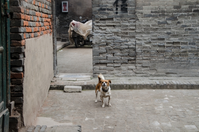 Маленькое путешествие по большому Китаю (Пекин, Пинъяо, Сиань, Яншо, Лунцзи, Хайнань))