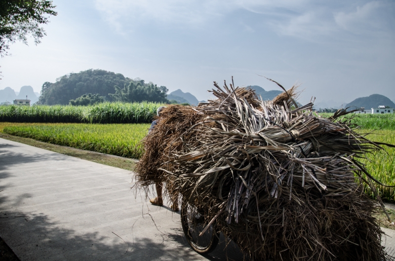 Маленькое путешествие по большому Китаю (Пекин, Пинъяо, Сиань, Яншо, Лунцзи, Хайнань))