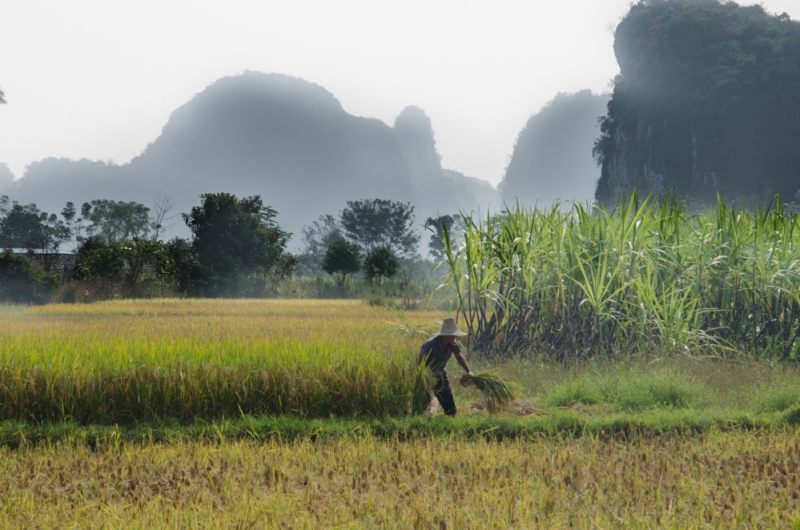 Маленькое путешествие по большому Китаю (Пекин, Пинъяо, Сиань, Яншо, Лунцзи, Хайнань))