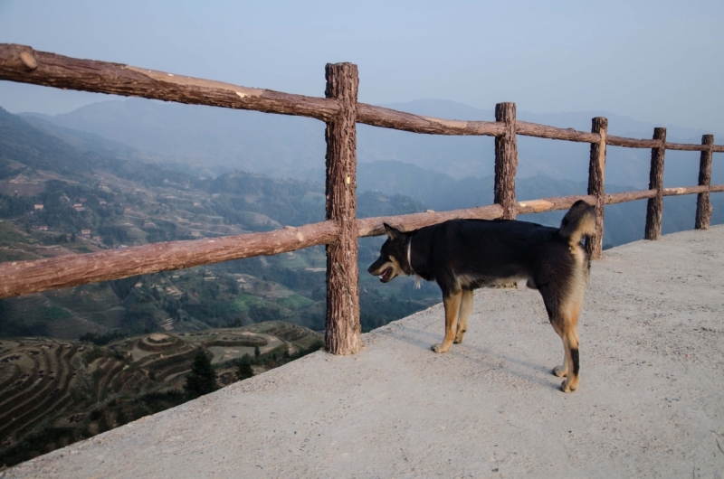 Маленькое путешествие по большому Китаю (Пекин, Пинъяо, Сиань, Яншо, Лунцзи, Хайнань))