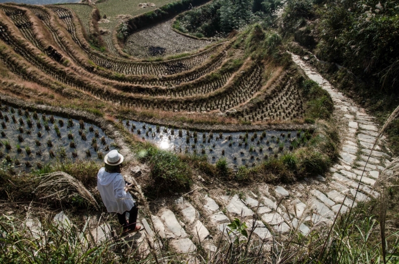 Маленькое путешествие по большому Китаю (Пекин, Пинъяо, Сиань, Яншо, Лунцзи, Хайнань))
