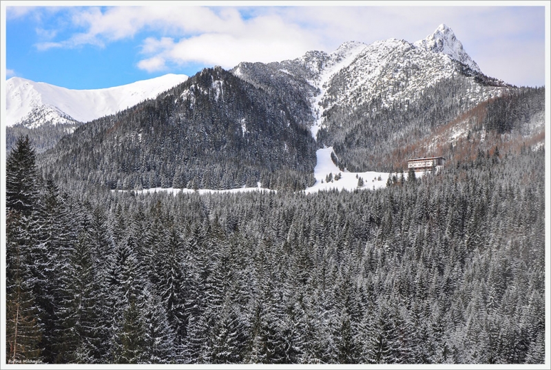 Закопане 2015