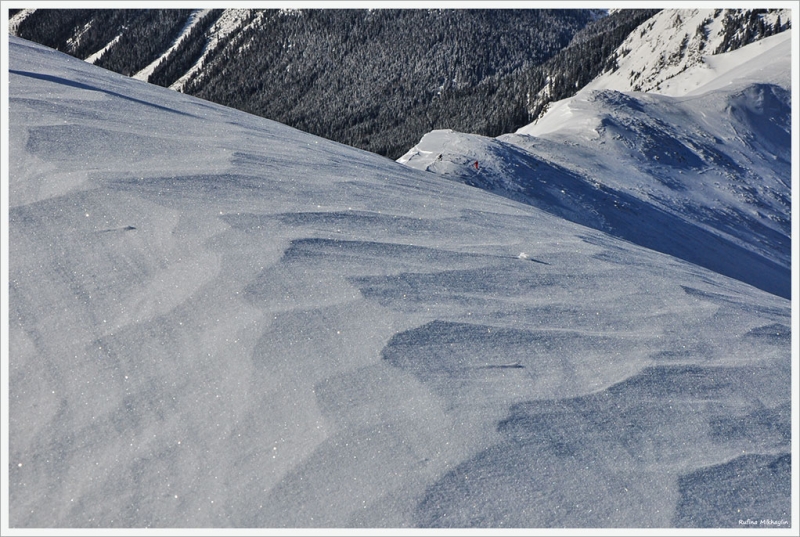 Закопане 2015