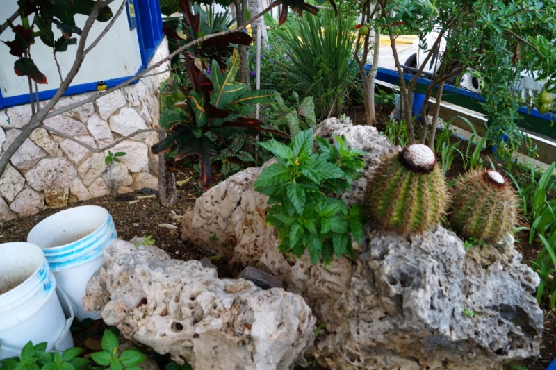 Перворазники на Карибах: круиз на P&O Ventura