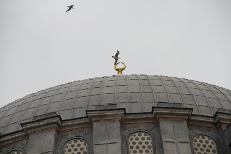 Первое свидание со Стамбулом (март 2015)