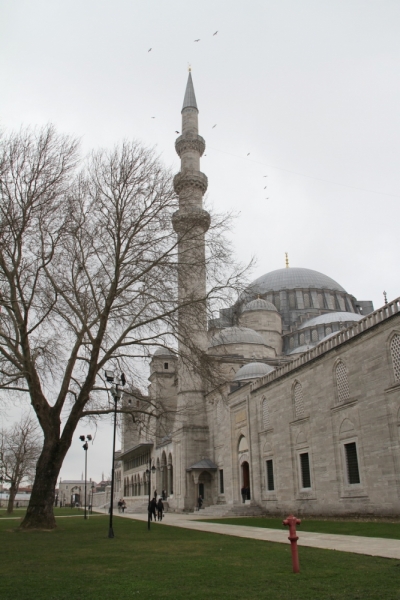 Первое свидание со Стамбулом (март 2015)