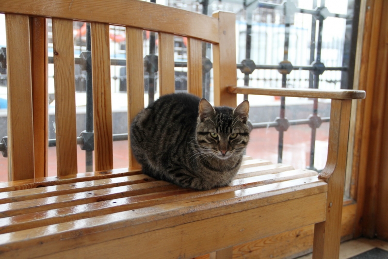 Первое свидание со Стамбулом (март 2015)