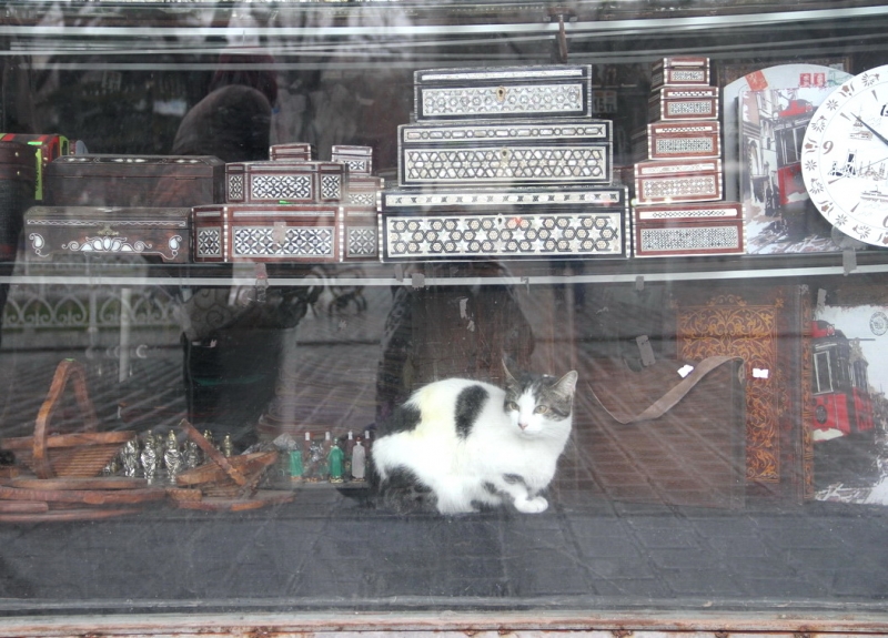 Первое свидание со Стамбулом (март 2015)