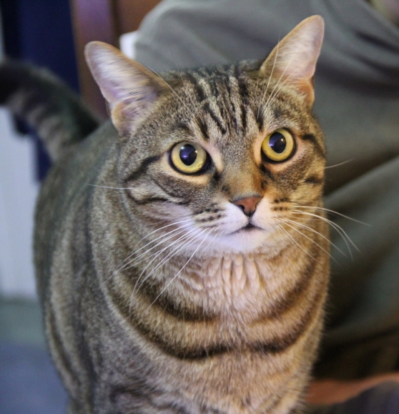 Первое свидание со Стамбулом (март 2015)