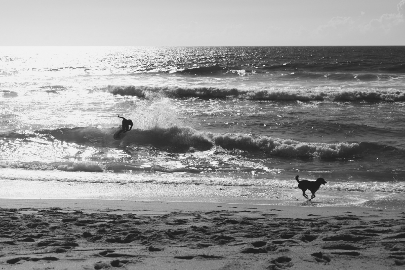 Две недели в Португалии: Лиссабон + Эрисейра. Сентябрь 2014 г. (Много фото)