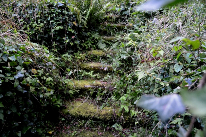 Австрия горная -Гальштат, Гросглокнер; Бавария-озера, Берхтесгаден,Ротенбург-на-Таубере