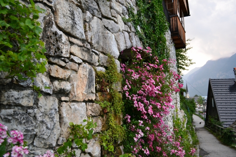 Австрия горная -Гальштат, Гросглокнер; Бавария-озера, Берхтесгаден,Ротенбург-на-Таубере