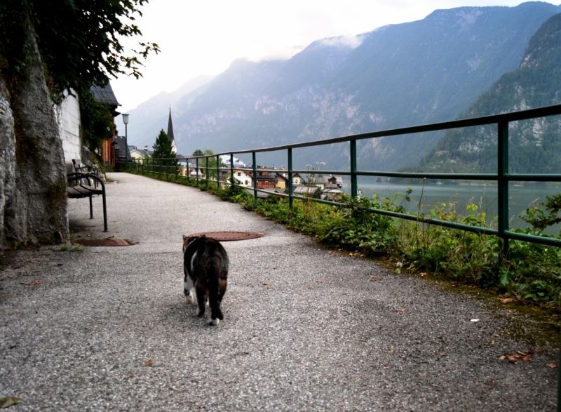 Австрия горная -Гальштат, Гросглокнер; Бавария-озера, Берхтесгаден,Ротенбург-на-Таубере
