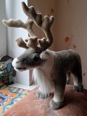 Поговорим о кошках32