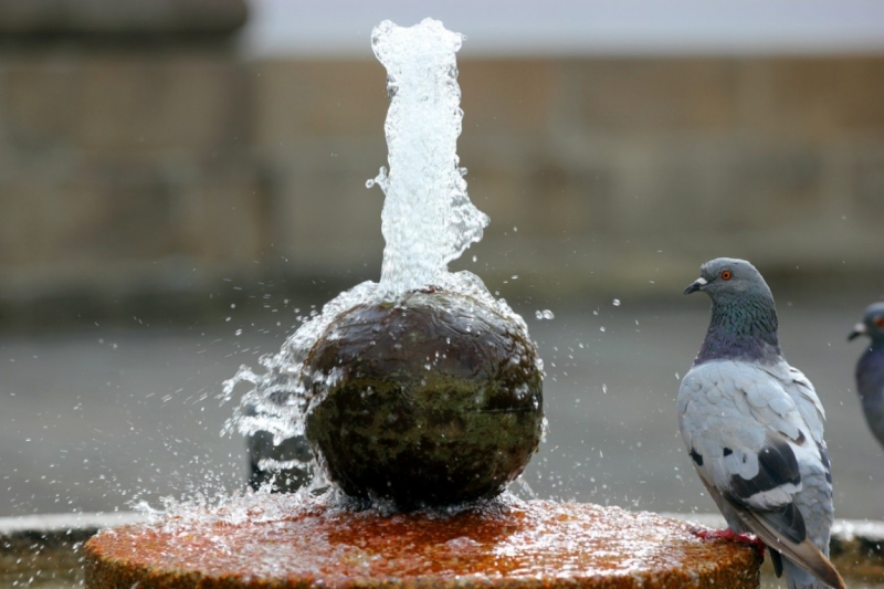 8 городов Португалии + пещеры и Дом Камень