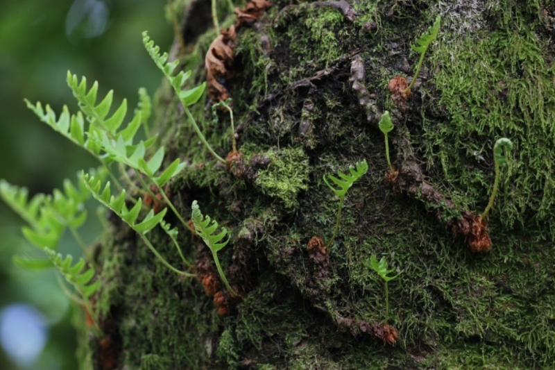 8 городов Португалии + пещеры и Дом Камень