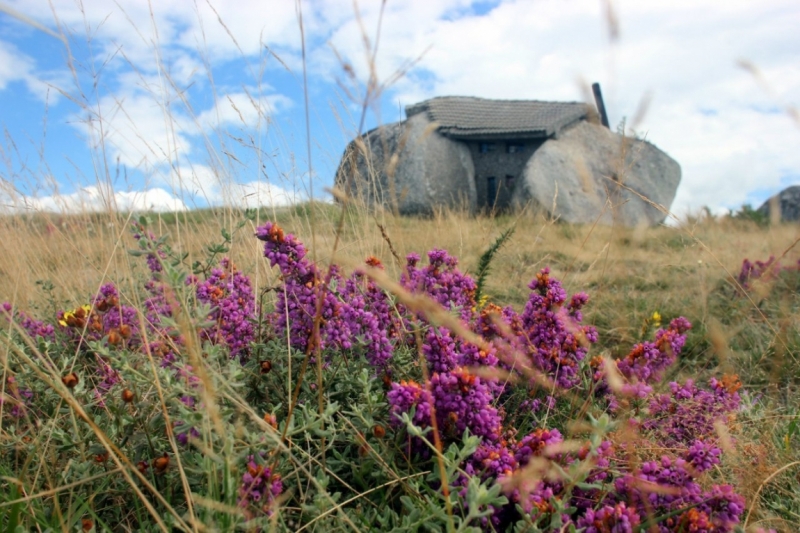 8 городов Португалии + пещеры и Дом Камень