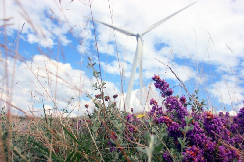 8 городов Португалии + пещеры и Дом Камень