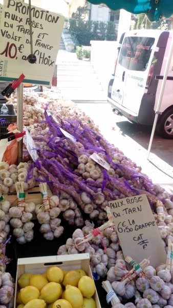 Прямой эфир с палуб A-ROSA Stella в речном круизе по югу Франции тёплым октябрём