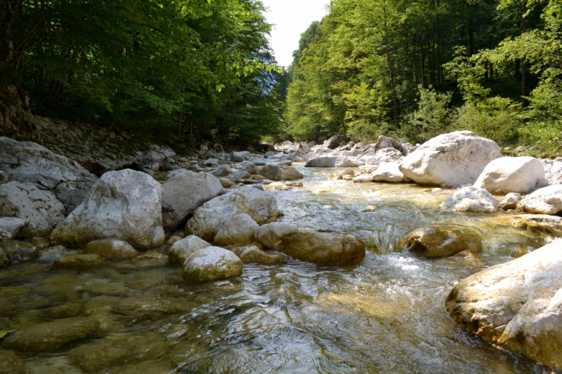 Австрия горная -Гальштат, Гросглокнер; Бавария-озера, Берхтесгаден,Ротенбург-на-Таубере