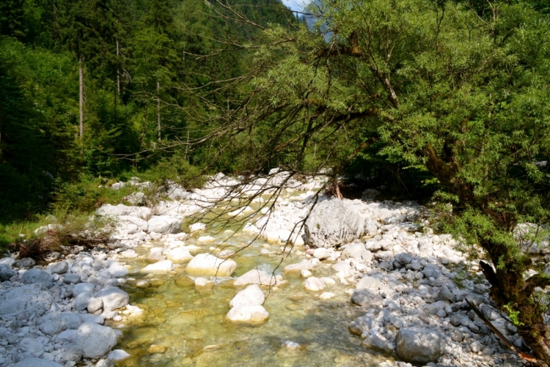 Австрия горная -Гальштат, Гросглокнер; Бавария-озера, Берхтесгаден,Ротенбург-на-Таубере