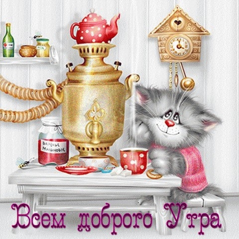 Поговорим о кошках32