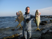 22 Цейлон 2011.jpg