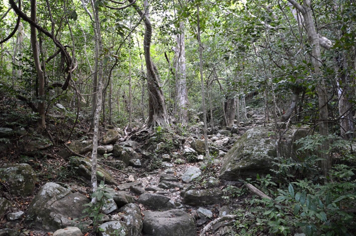 От Летисии до Провиденсии. Колумбия в марте 2015