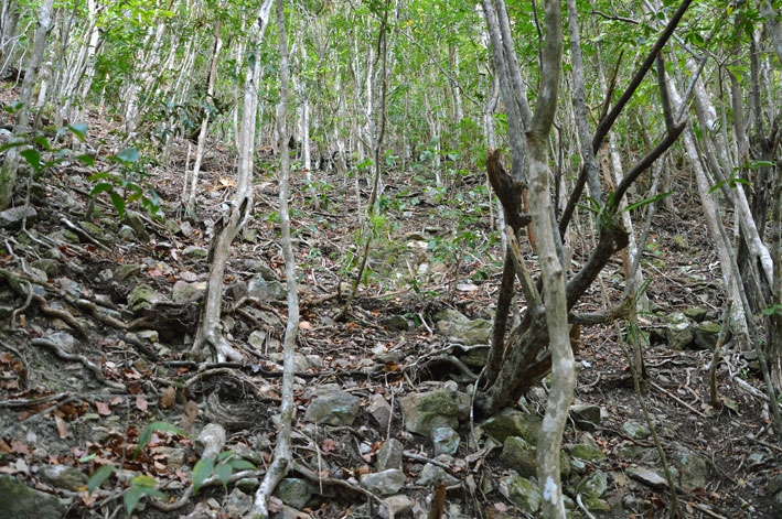 От Летисии до Провиденсии. Колумбия в марте 2015