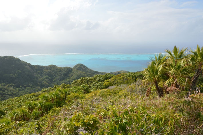 От Летисии до Провиденсии. Колумбия в марте 2015