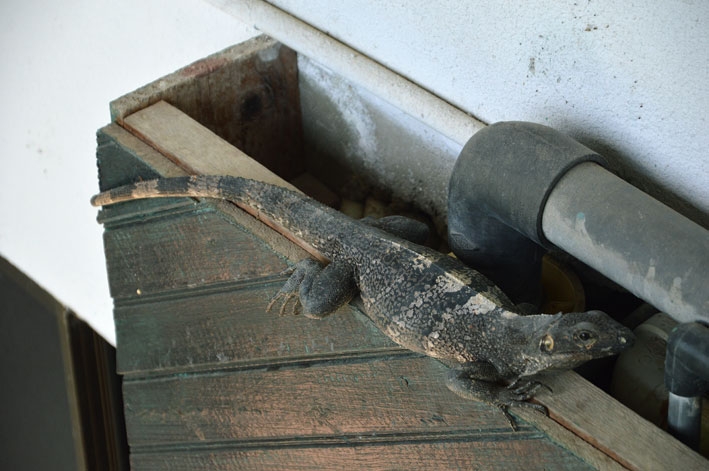 От Летисии до Провиденсии. Колумбия в марте 2015