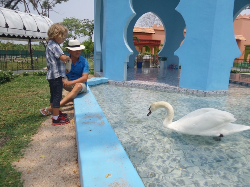 Цыганская семья. Или наша жизнь одновременно на два дома – в Хуа-Хине и на Самуи