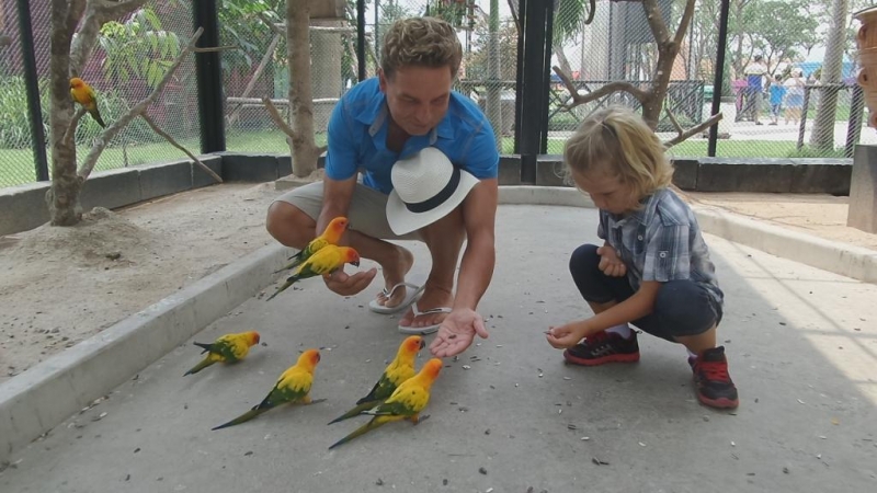 Цыганская семья. Или наша жизнь одновременно на два дома – в Хуа-Хине и на Самуи