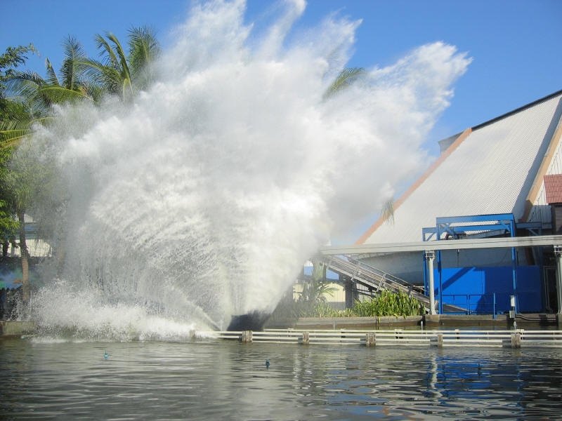 Цыганская семья. Или наша жизнь одновременно на два дома – в Хуа-Хине и на Самуи