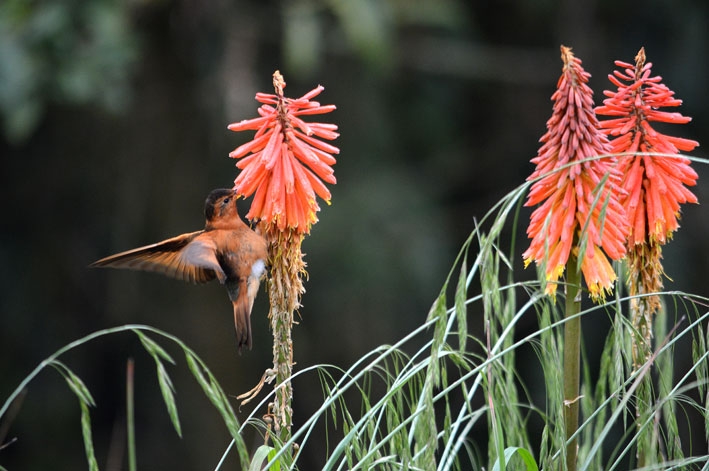 От Летисии до Провиденсии. Колумбия в марте 2015