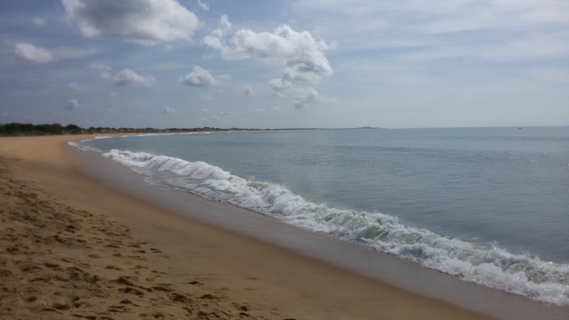 Лизалиса, Наташка, с Днем Рождения!!!