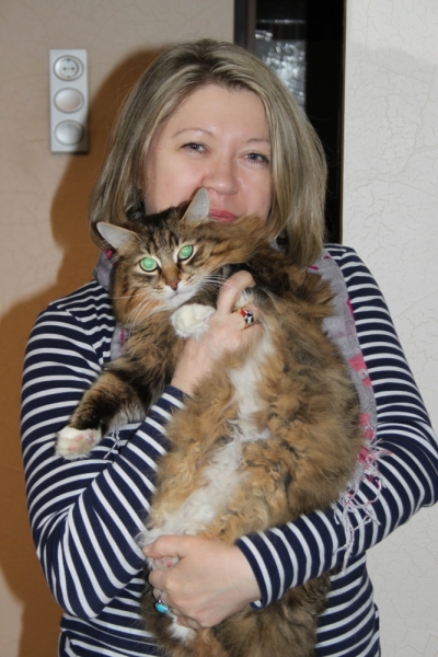 Поговорим о кошках32