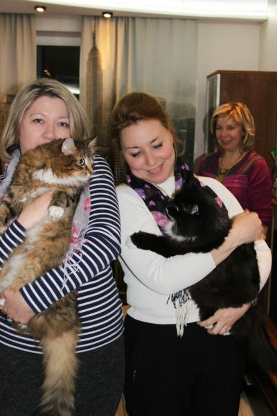 Поговорим о кошках32