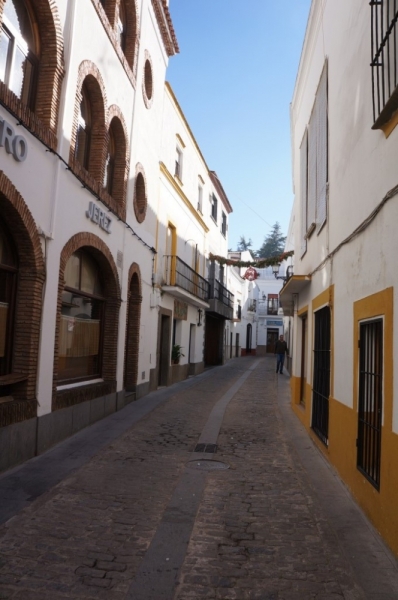 Неслучайная библиотека [Caceres, Badajoz, Jerez de los Caballeros, Zafra и другие]