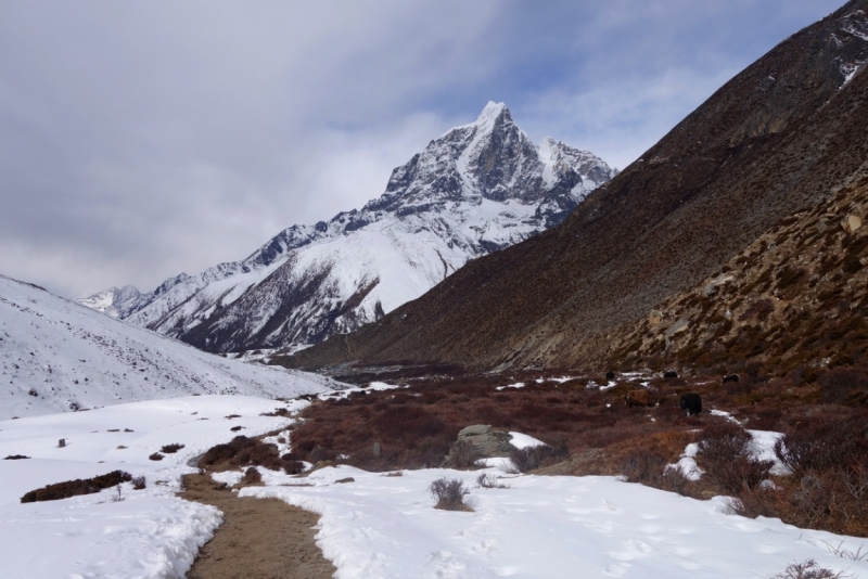 Авантюра новичка к Эвересту. 11-31 марта 2015